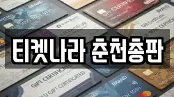 티켓나라 춘천총판