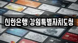 신한은행 강원특별자치도청