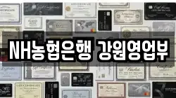 NH농협은행 강원영업부