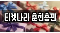 티켓나라 춘천총판