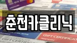 춘천카클리닉