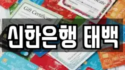 신한은행 태백