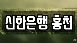 신한은행 홍천