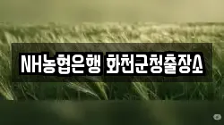 NH농협은행 화천군청출장소