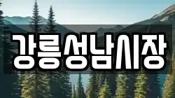 강릉성남시장