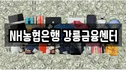 NH농협은행 강릉금융센터