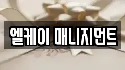 엘케이 매니지먼트
