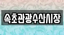속초관광수산시장
