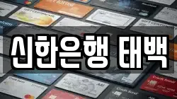 신한은행 태백