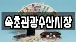 속초관광수산시장