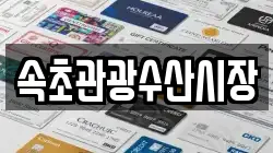 속초관광수산시장