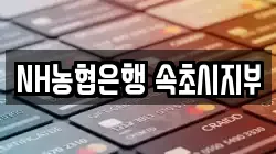 NH농협은행 속초시지부
