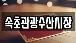 속초관광수산시장