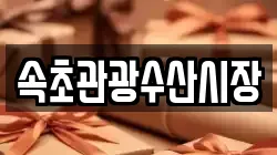 속초관광수산시장