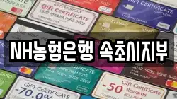 NH농협은행 속초시지부