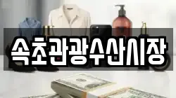 속초관광수산시장