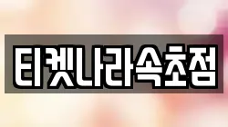 티켓나라속초점