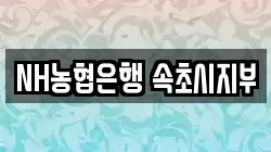 NH농협은행 속초시지부