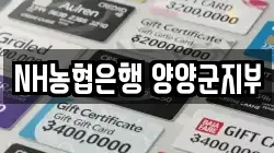 NH농협은행 양양군지부