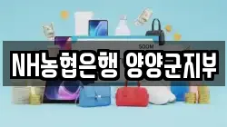 NH농협은행 양양군지부