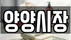양양시장