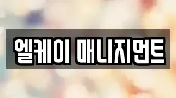 엘케이 매니지먼트