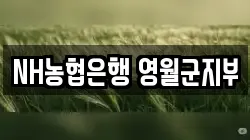 NH농협은행 영월군지부