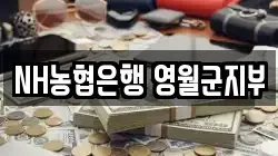 NH농협은행 영월군지부