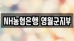 NH농협은행 영월군지부