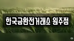 한국금환전거래소 원주점