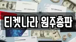 티켓나라 원주총판