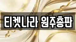 티켓나라 원주총판