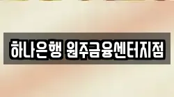 하나은행 원주금융센터지점