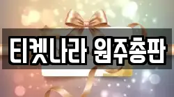 티켓나라 원주총판