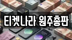 티켓나라 원주총판