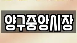 양구중앙시장