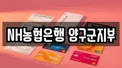 NH농협은행 양구군지부