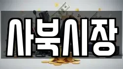 사북시장