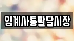 임계사통팔달시장