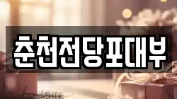 춘천전당포대부