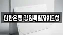 신한은행 강원특별자치도청