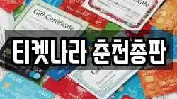 티켓나라 춘천총판