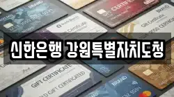 신한은행 강원특별자치도청