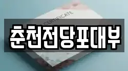 춘천전당포대부
