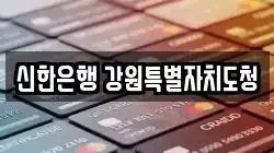 신한은행 강원특별자치도청