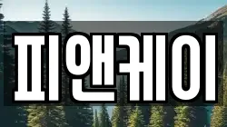피앤케이