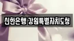 신한은행 강원특별자치도청