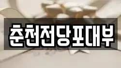 춘천전당포대부