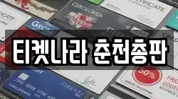 티켓나라 춘천총판