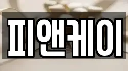 피앤케이
